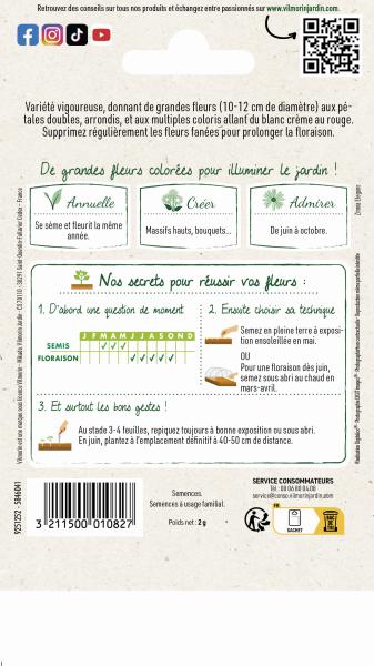 Fleurs - Zinnia à Fleur Monstrueuse  - MEDIA_PACKAGING_VERSO